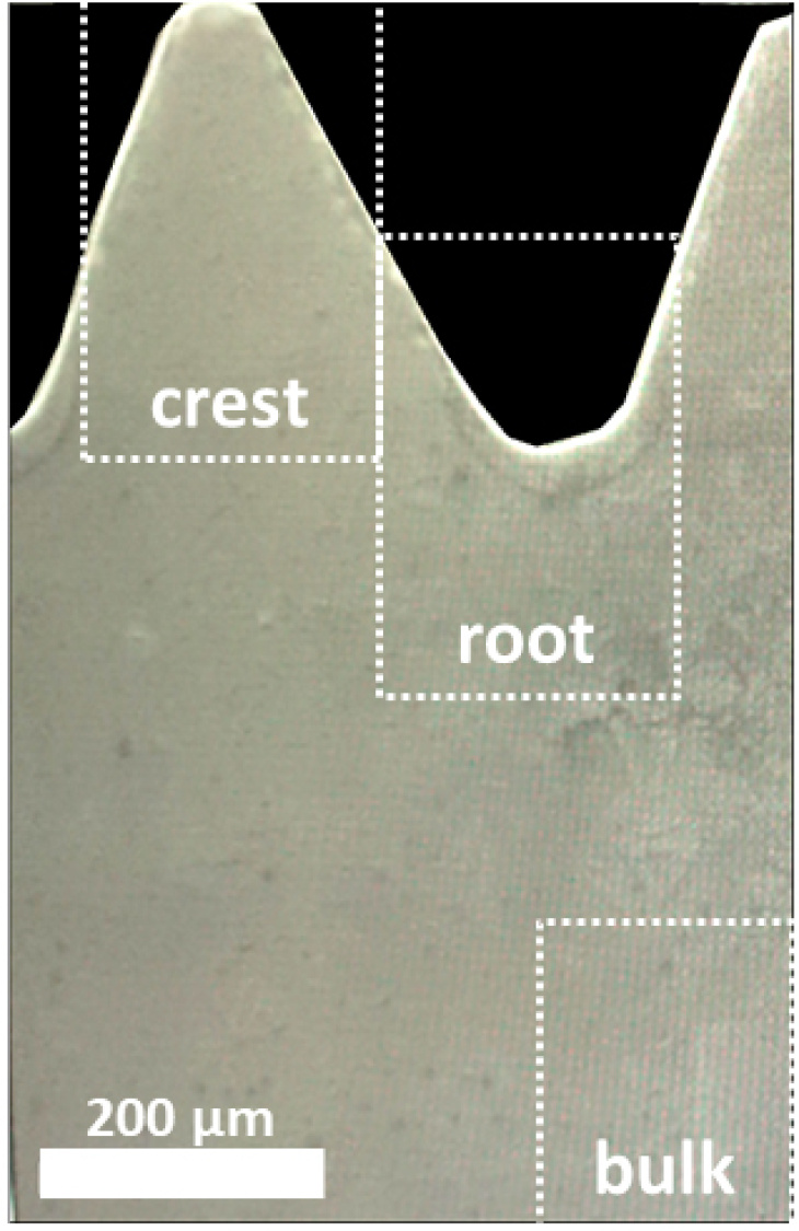 Durch eine spezielle Mikroskop-Aufnahme sind hier die Spitzen und Tiefen einer Mg-5Gd-Schraube zu sehen. Foto: Krüger et. al 2021 Mikroskopaufnahme