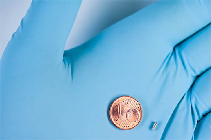 Die untersuchten Schrauben sind winzig klein: Ihr Durchmesser beträgt 2 Millimeter. Foto: Hereon/ Björn Wiese Münze und Schraube