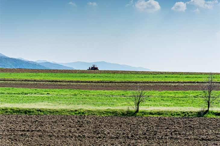 Boden Setcard Petim-latifi Unsplash