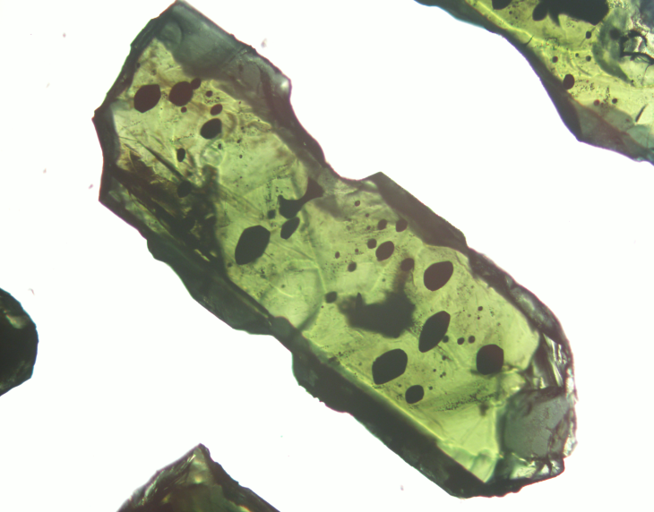 Mikroskopische Aufnahme eines Kristalls. Dieses Mineral bildete sich in einer Magmakammer. Die schwarzen Flecken sind Schmelzeinschlüsse. Bild: Corin Jorgenson
