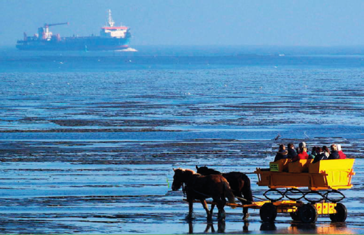 Khoppe Pferdewatt 600x388