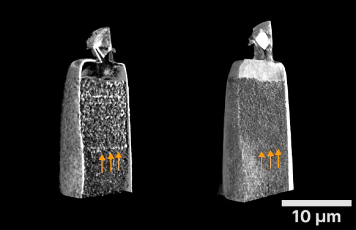 Röntgenbild2 Setcard Hereon Sami-wirtensohn