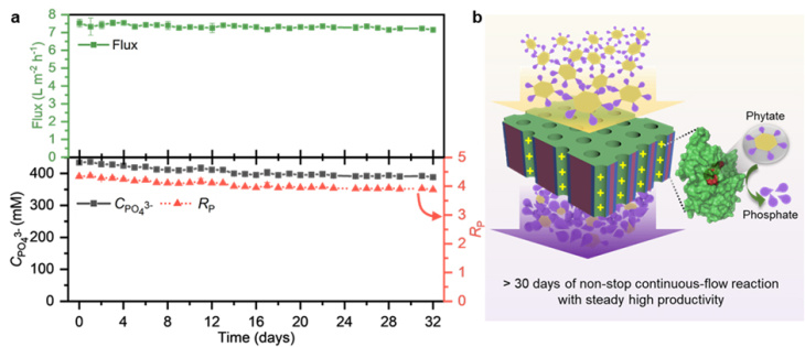Das neue Verfahren erhöht deutlich die Effizienz der Membranen. Grafik: Hereon/ Zhenzhen Zhang Membran Grafik Hereon Zhenzhen-zhang