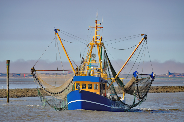 Crab fishing in the North Sea with trawls. Credit: iStock