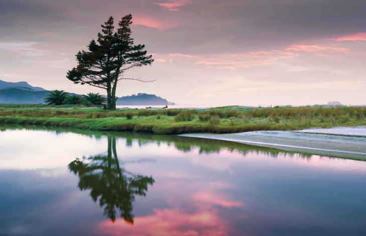 Quecksilber im Wasser und in der Atmosphäre zu modellieren, war eine komplexe Aufgabe. Foto: Jim Witkowski via Unsplash Natur: Jim Witkowski via Unsplash