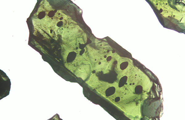 Mikroskopische Aufnahme eines Kristalls. Dieses Mineral bildete sich in einer Magmakammer. Die schwarzen Flecken sind Schmelzeinschlüsse. Bild: Corin Jorgenson