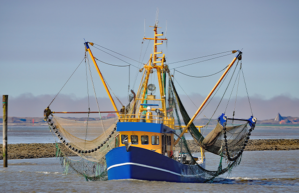 Crab fishing in the North Sea with trawls. Credit: iStock