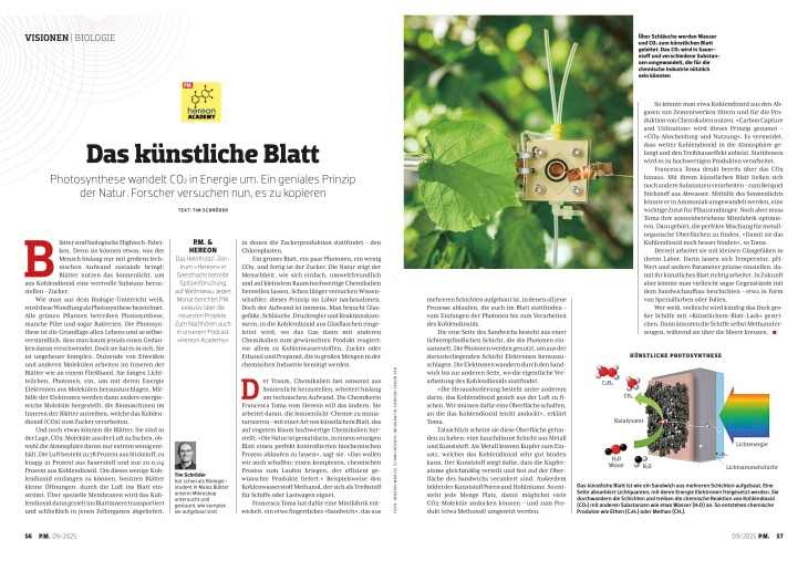 Seiten Aus September 2025 Künstliches Blatt