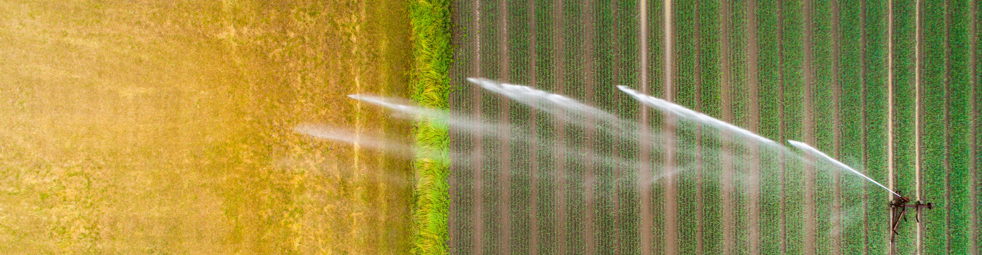 Klima Hero Istock-973809212 Ollo