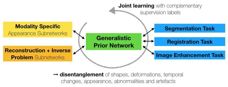 Bmbf Mdlma Multi-task Network Model