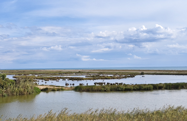 Das Wattenmeer-Weser-Ästuar ist die einzige deutsche Pilotregion im EU-Projekt COAST-SCAPES. Foto: Hereon/Wei Chen
