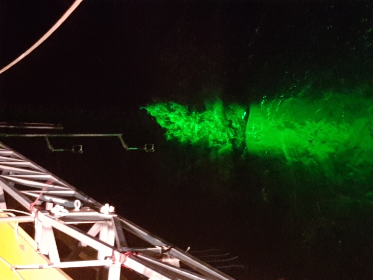 Die Forschenden arbeiteten mit einem grünen Laser, der Luft und Wasser durchschneidet und dabei Strömungen sichtbar macht. Foto: Marc Buckley Die Forschenden arbeiteten mit einem grünen Laser, der Luft und Wasser durchschneidet und dabei Strömungen sichtbar macht. Foto: Marc Buckley