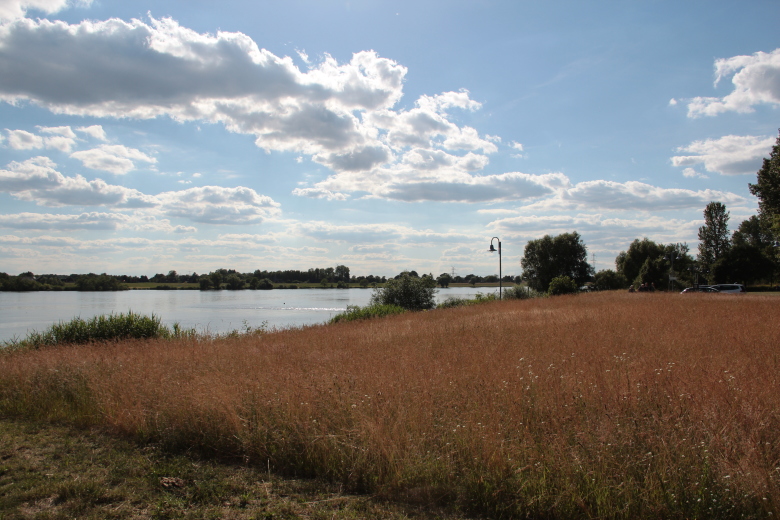 Elbelandschaft in Geesthacht - Tesperhude