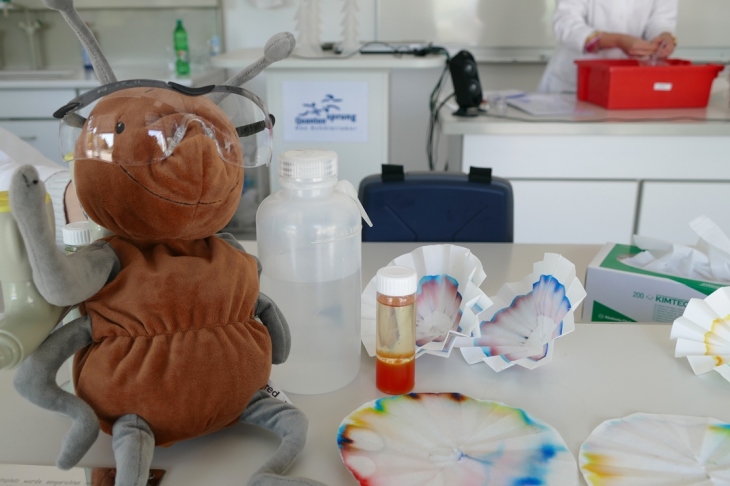 Ferienkurs Frida, die Forscherameise.