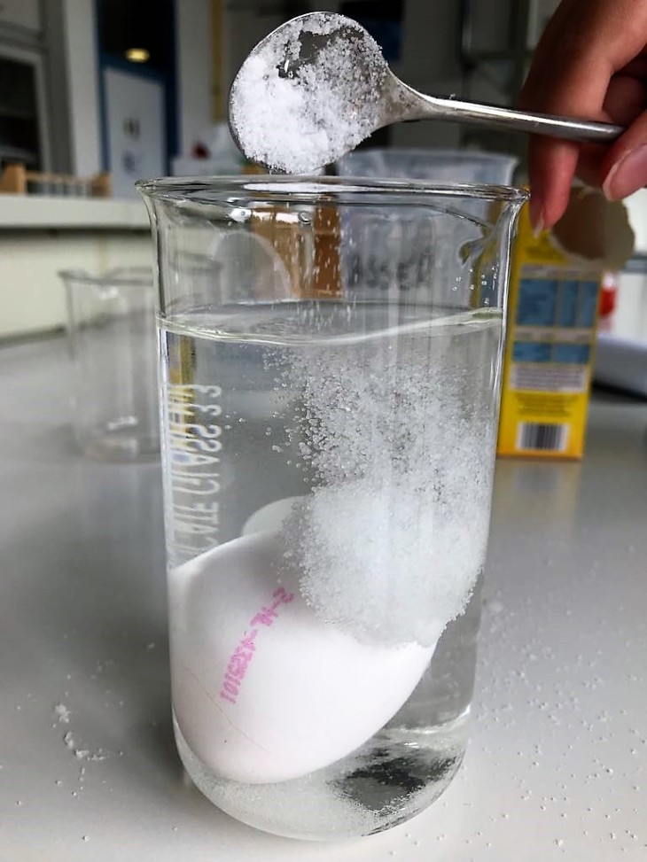 rohes Ei schwimmt in Kochsalzlösung