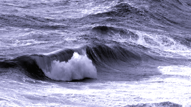 Bild: Marc Buckley/Hereon