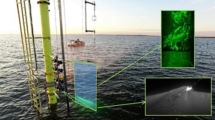 Details des PIV-Experiments. -Bild: Marc Buckley, Jan Bödewadt/Hereon-