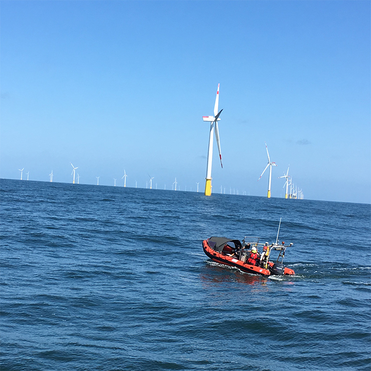Messung mit der Schleppkette im Nordsee-Windpark Dan Tysk. <i>-Bild: Martina Heineke/Hereon-</i> Messung mit der Schleppkette im Nordsee-Windpark Dan Tysk. -Bild: Martzina Heineke/Hereon-