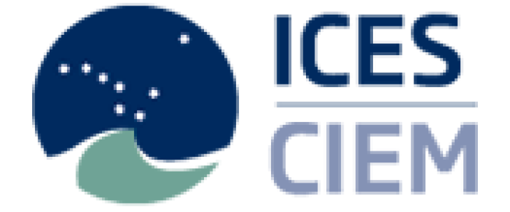 ICES logo