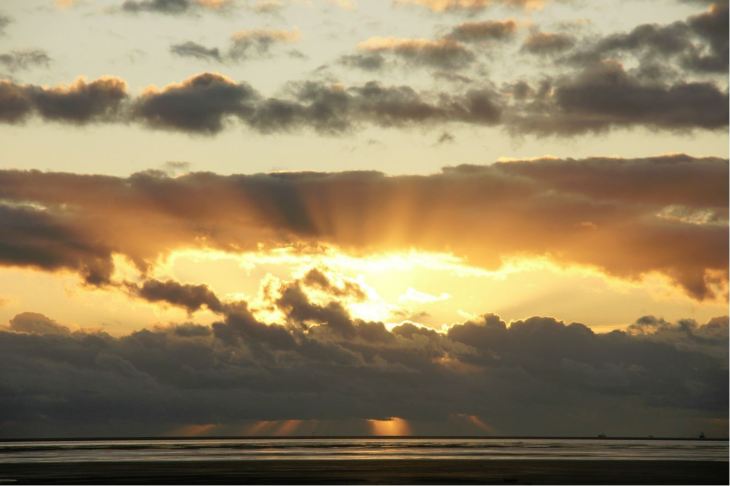 Cultural Identity Study