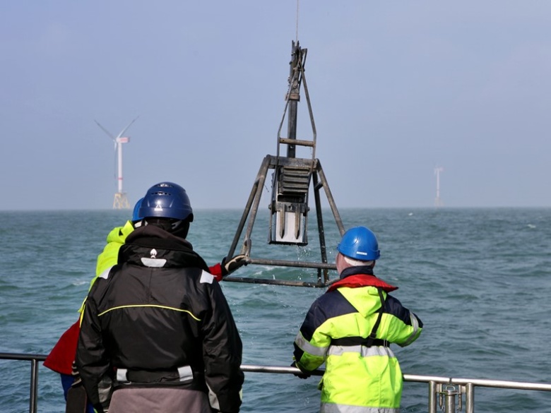 Forscher holen Kastengreifer an Bord