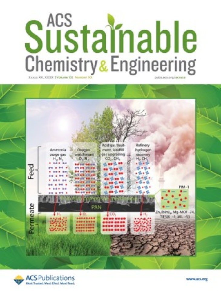 Aliyev_ACS Sustainable Chemistry and Engineering