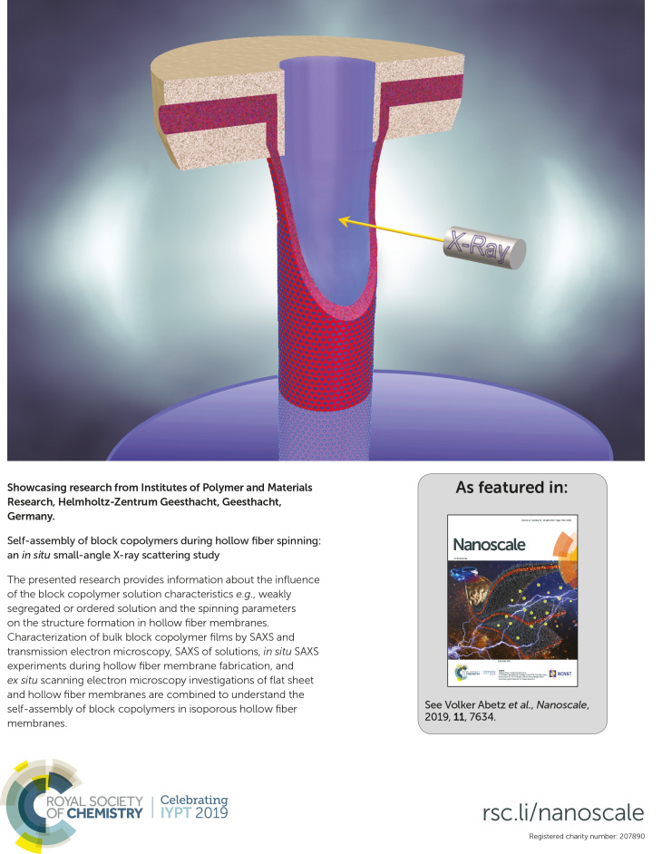 2019 Nanoscale inside back cover, Sankhala Jan 2019