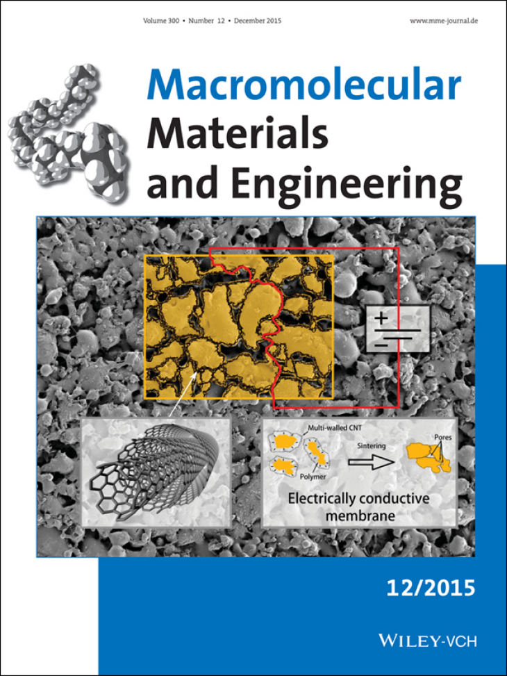 Cover Page  MME 12/2015 Christian Otto