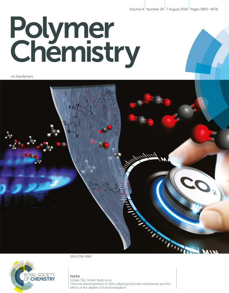 Cover Page Pol Chem Juli 2018 David Meis