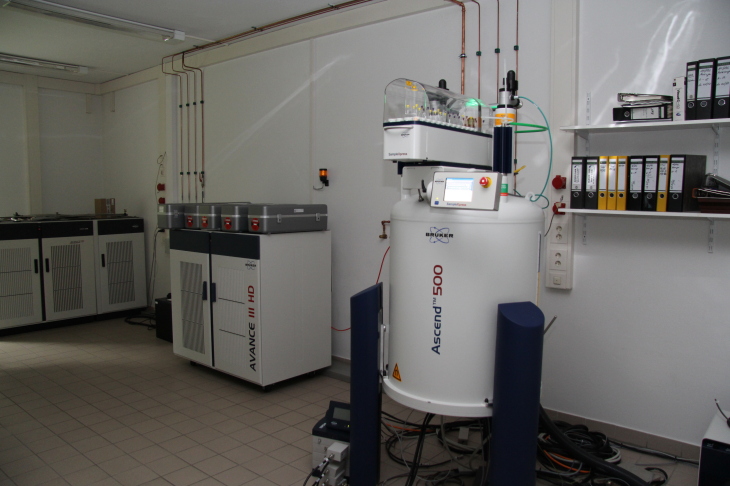 Nuclear Magnetic Resonance Spectrometer (NMR)  Bruker