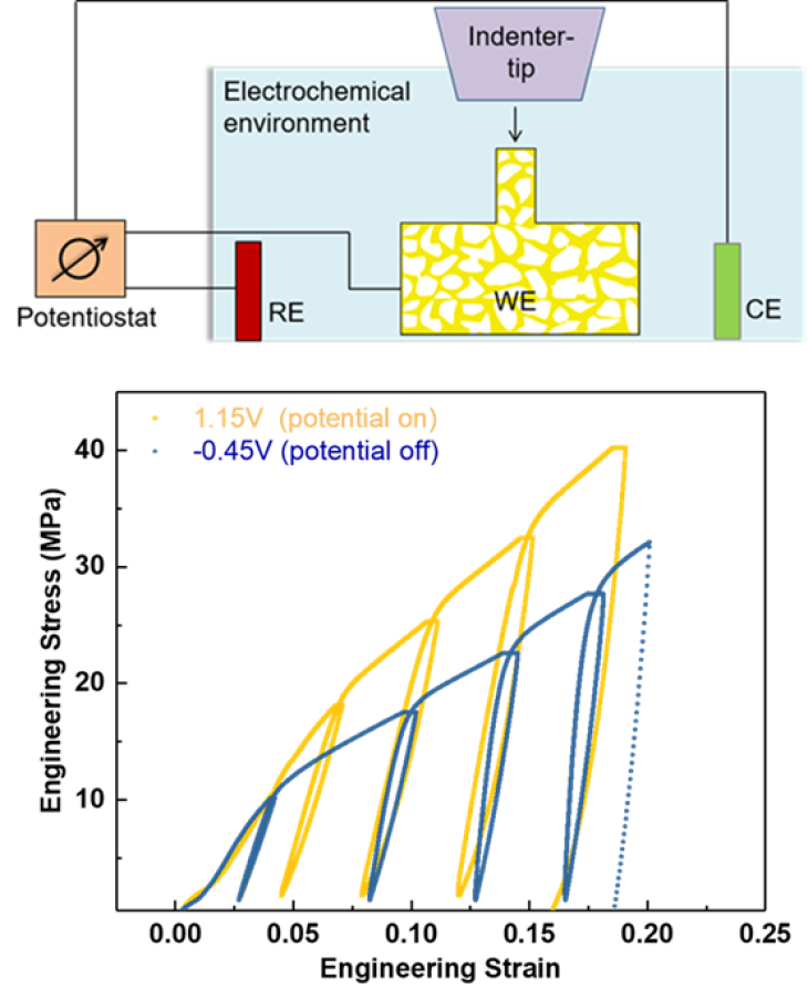 WME_ElektrochemischeKopplung