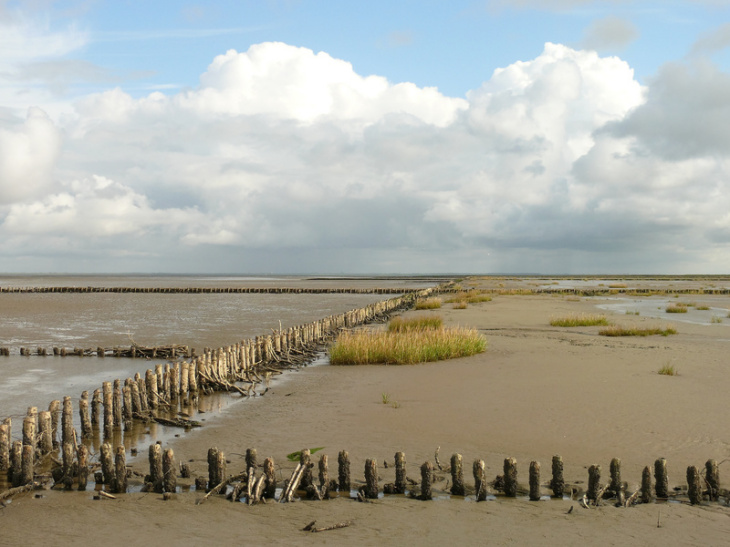 Wattenmeer